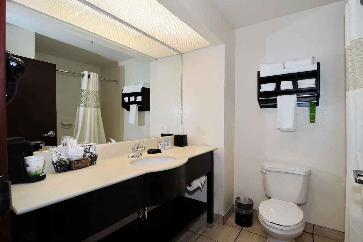 Un baño de hotel con lavamanos, espejo, inodoro y toallero.