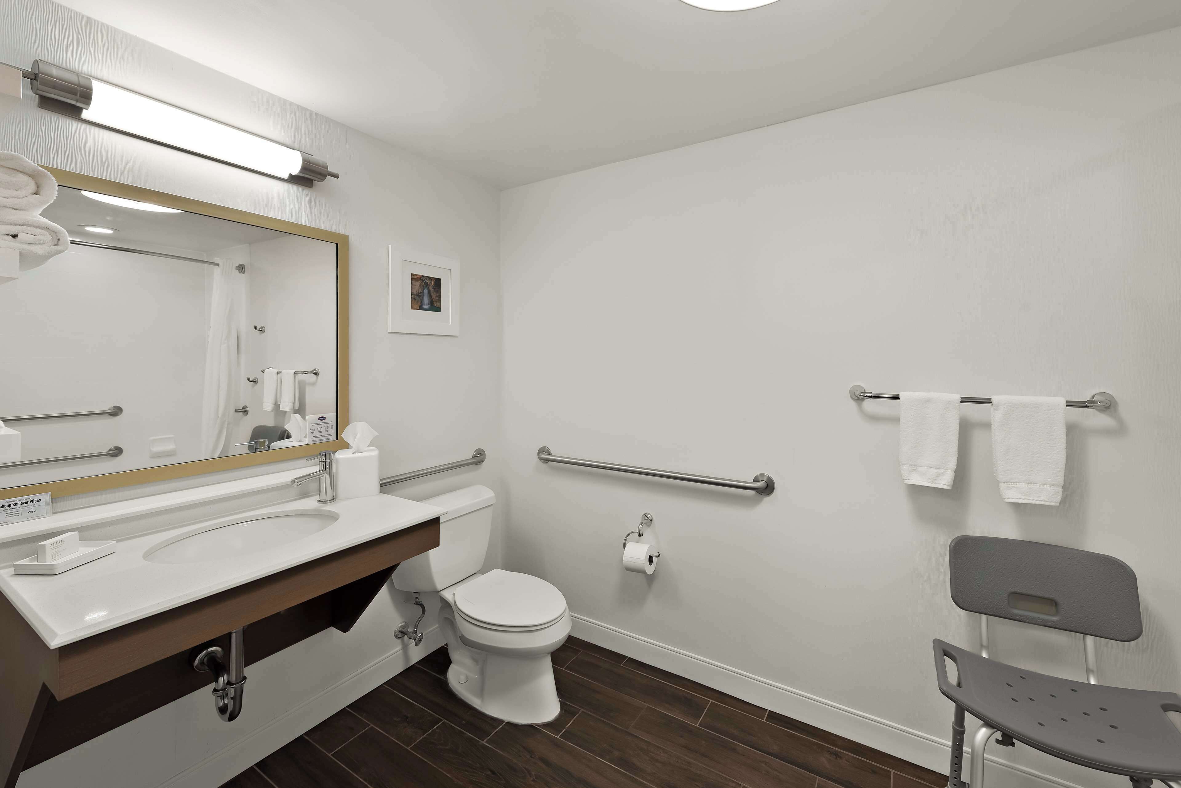 one king bed, non-smoking, accessible | bathroom | free toiletries, hair dryer, towels