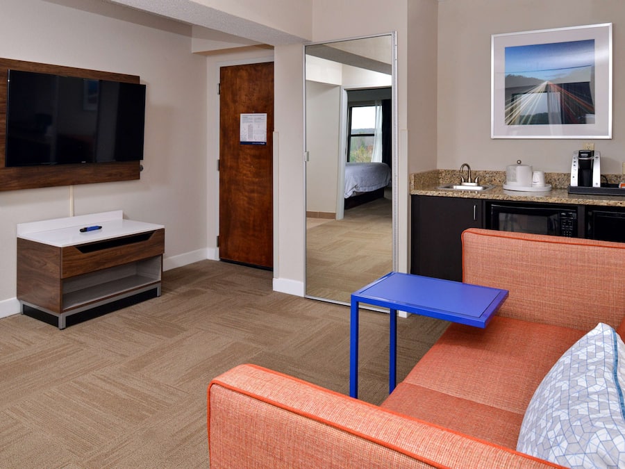 Suite, One King Bed, Non-Smoking | Living area | TV
