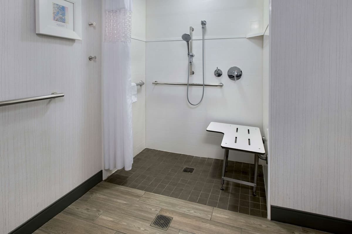 Bathroom | Combined shower/tub, free toiletries, hair dryer, towels