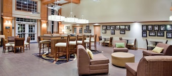 Hampton Inn & Suites Chapel Hill/Durham, Area
