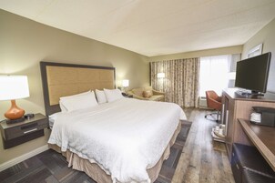 客房, 1 张特大床和 1 张沙发床, 无烟房, 冰箱 | 办公桌、笔记本电脑工作区、遮光窗帘、熨斗/熨衣板