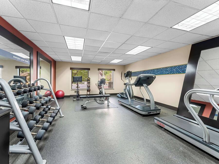 A gym with treadmills, dumbbells, and exercise balls.