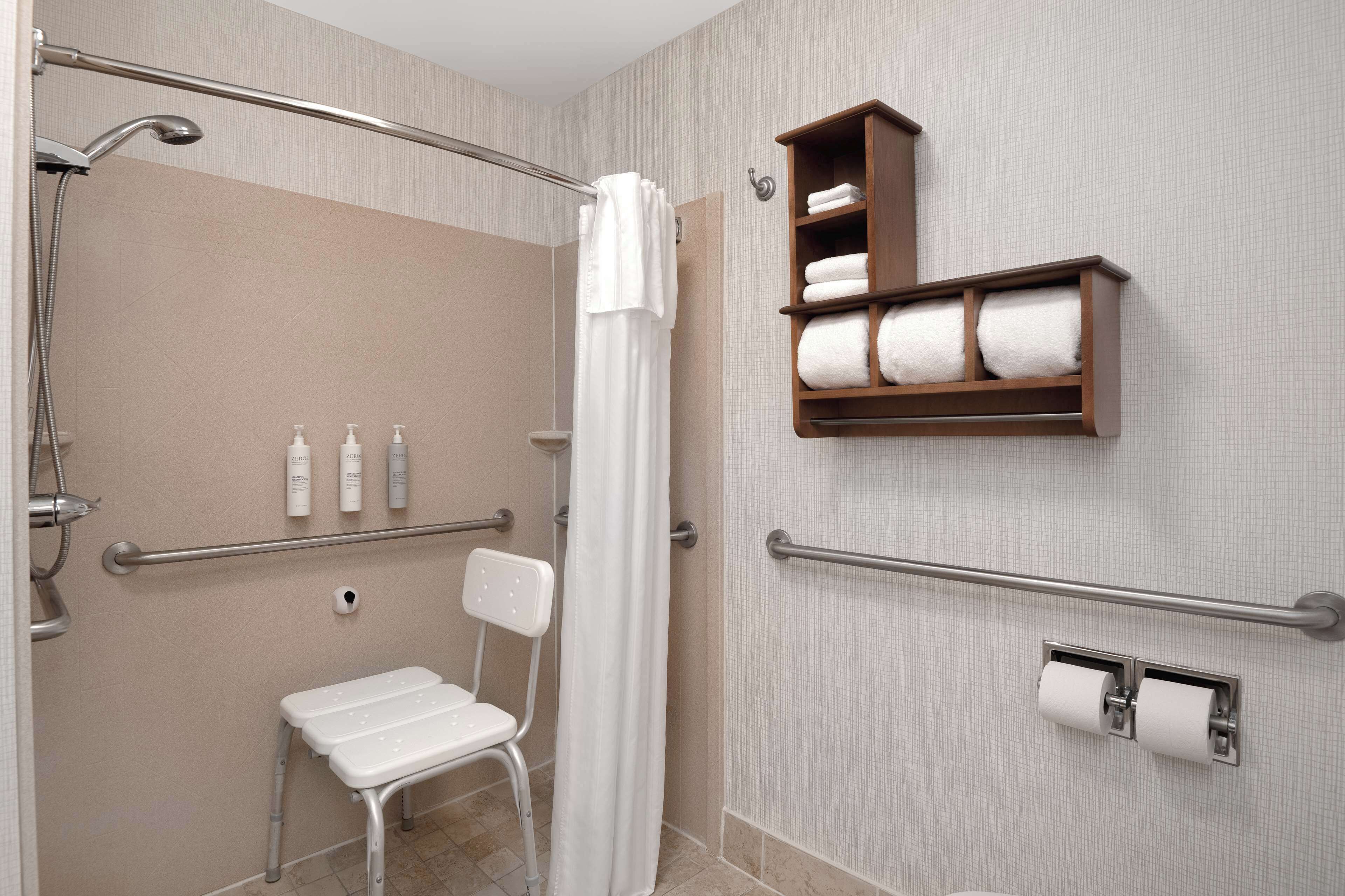 room, 1 king bed, accessible, non smoking | bathroom shower