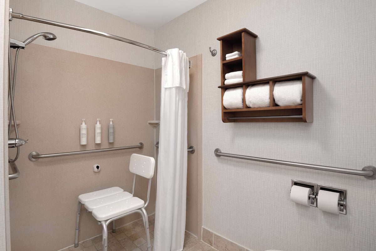 room, 1 king bed, accessible, non smoking | bathroom shower