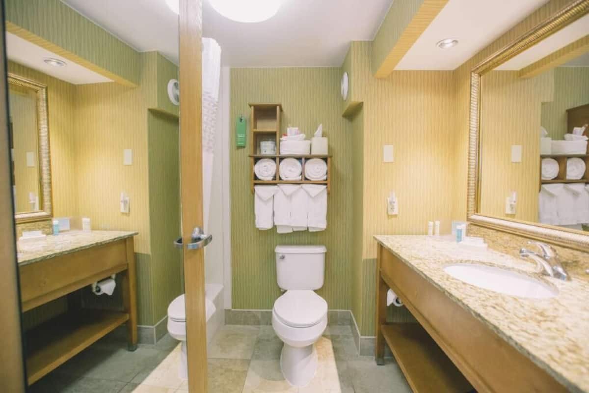 Baño | Amenidades de baño gratuitas, secadora de cabello, toallas