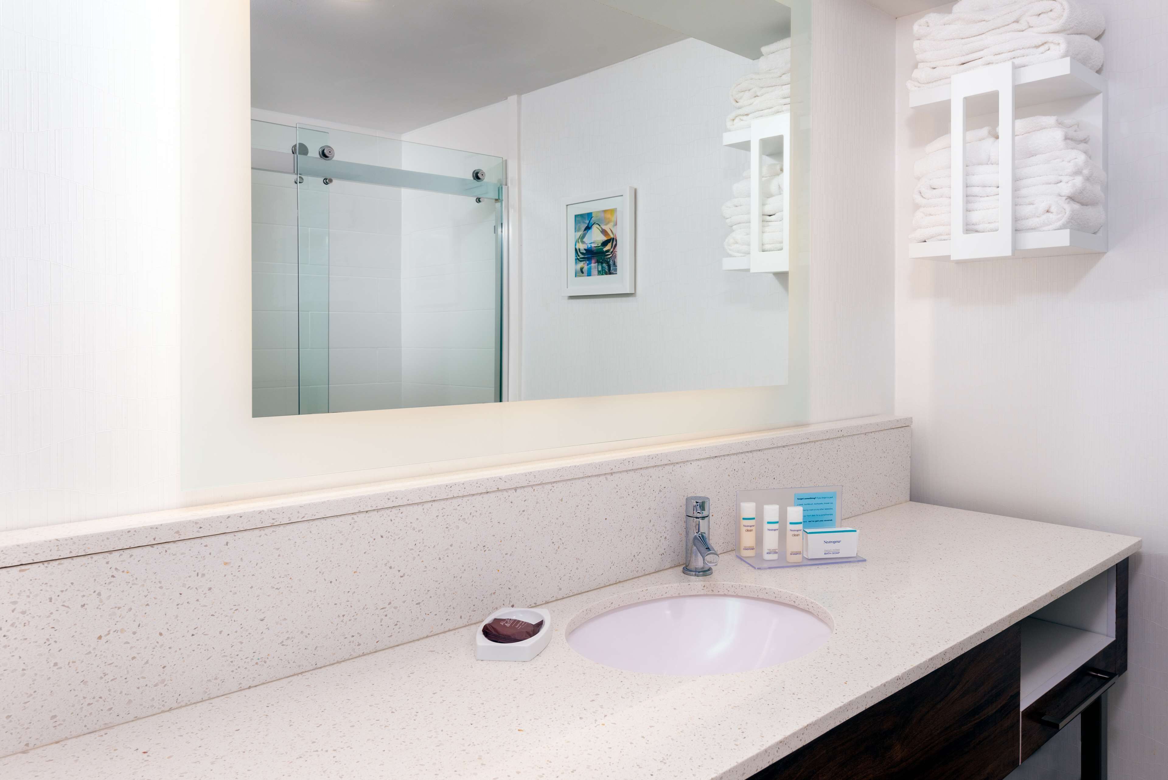 one king and one sofa bed, non-smoking | bathroom shower