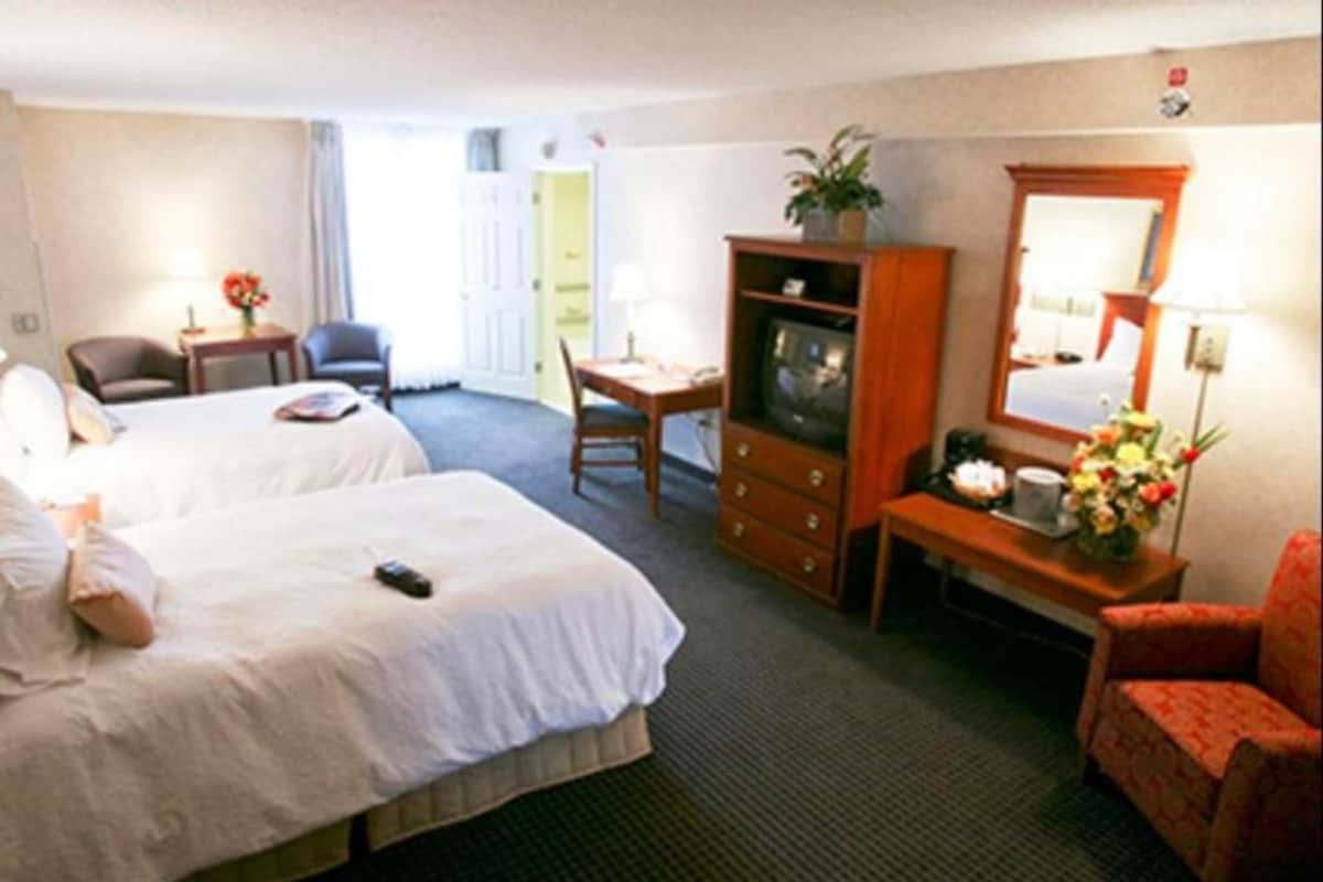 Une chambre d’hôtel avec deux lits, un bureau avec une chaise, une télévision, un miroir et une petite table agrémentée de fleurs.
