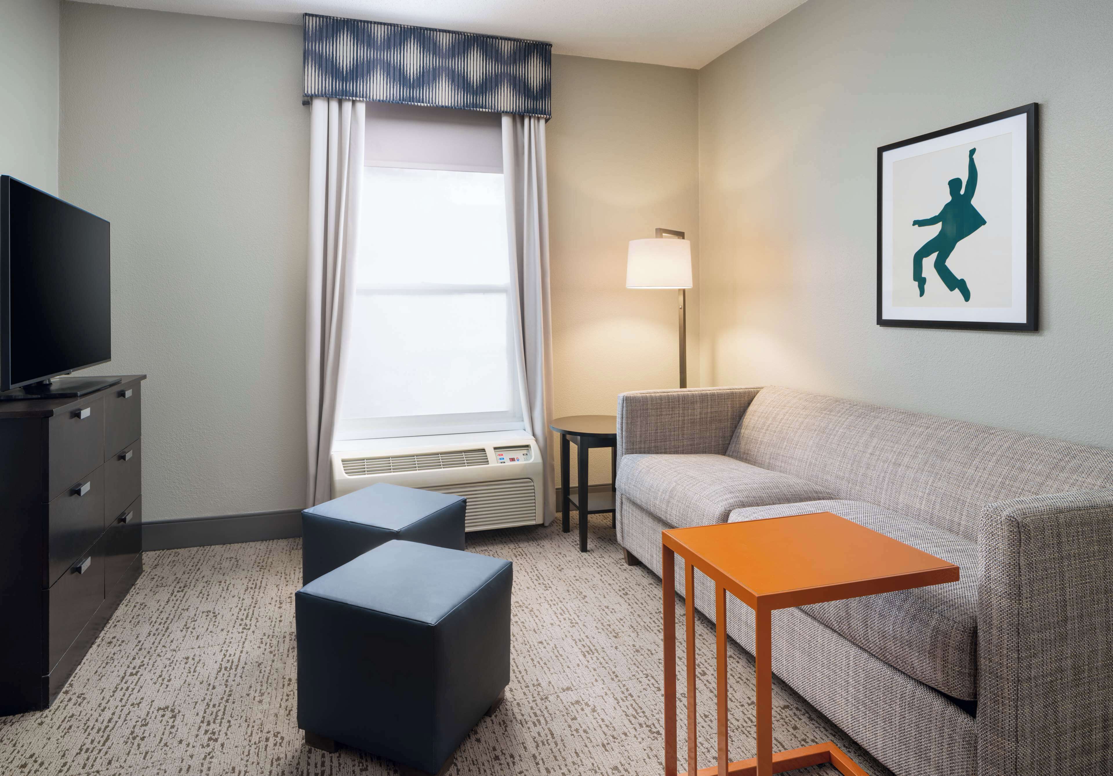 suite, 1 king bed, accessible (roll-in shower), non-smoking | living area | lcd tv, pay films