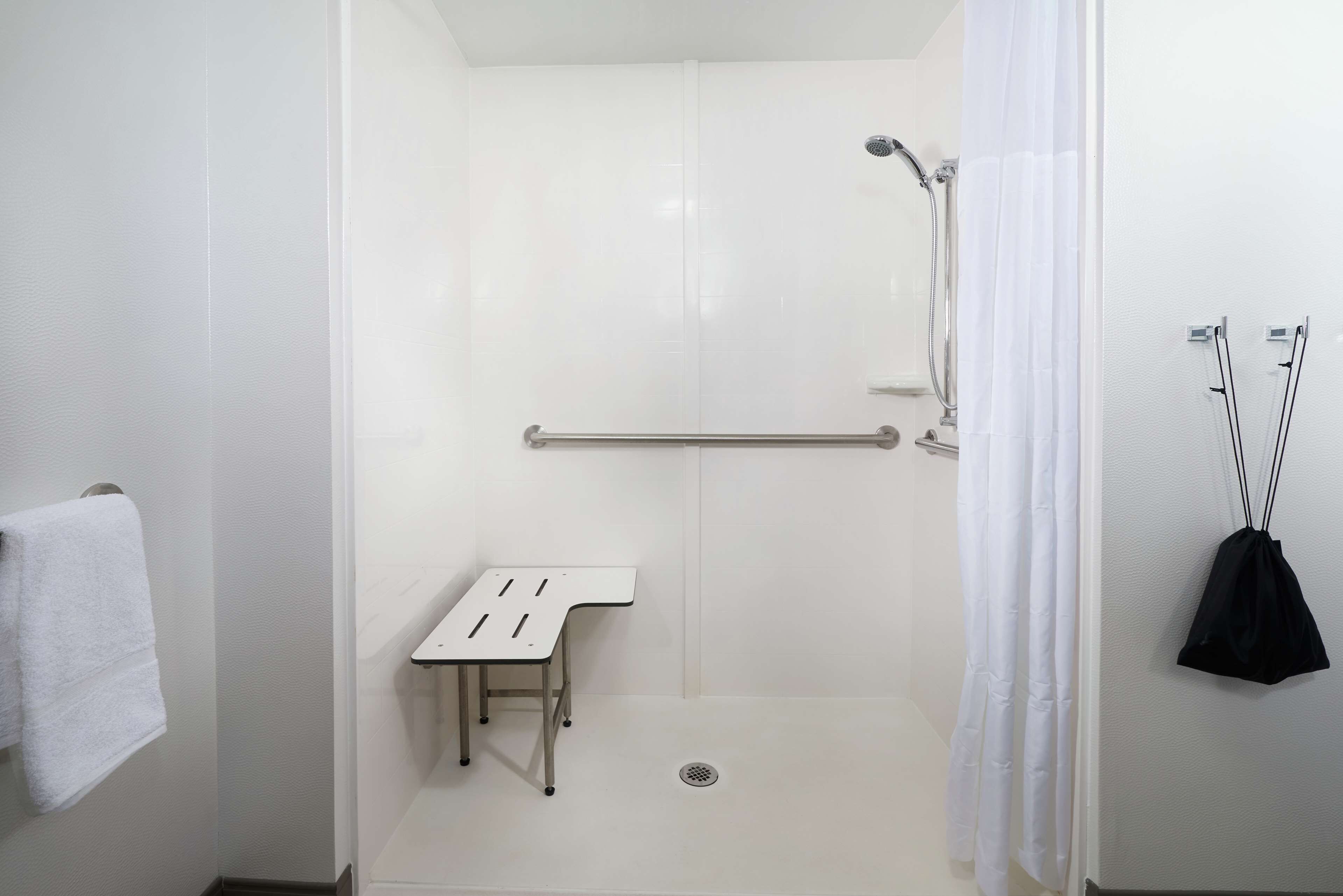 room, 1 king bed, accessible, non smoking (roll in shower) | bathroom shower