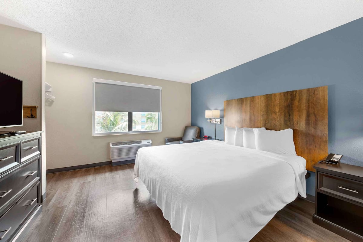 Habitación de hotel con una cama grande, televisión, escritorio con lámpara y ventana con vistas a palmeras.