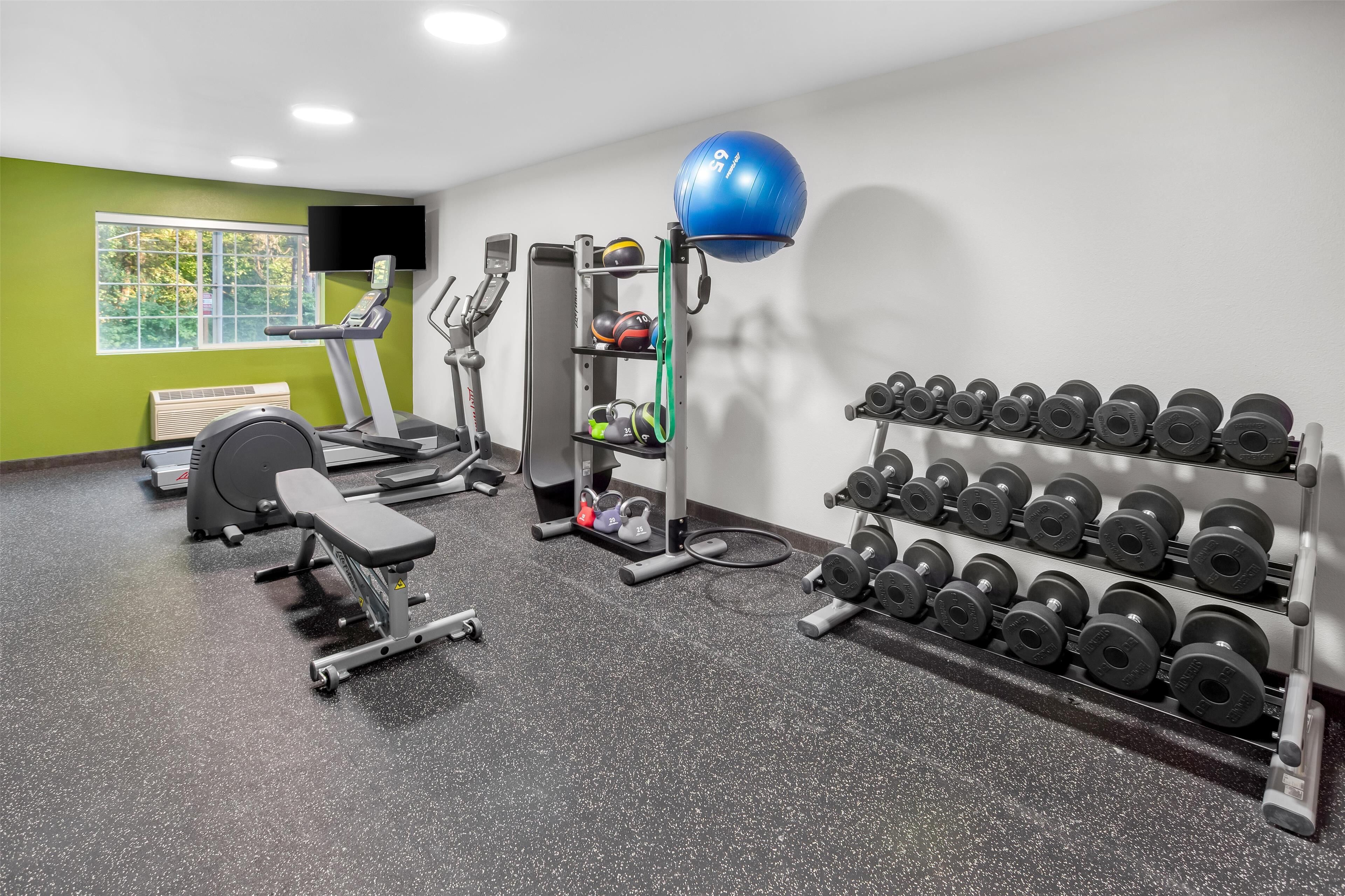 A gym with a treadmill, weight bench, free weights, and a medicine ball.
