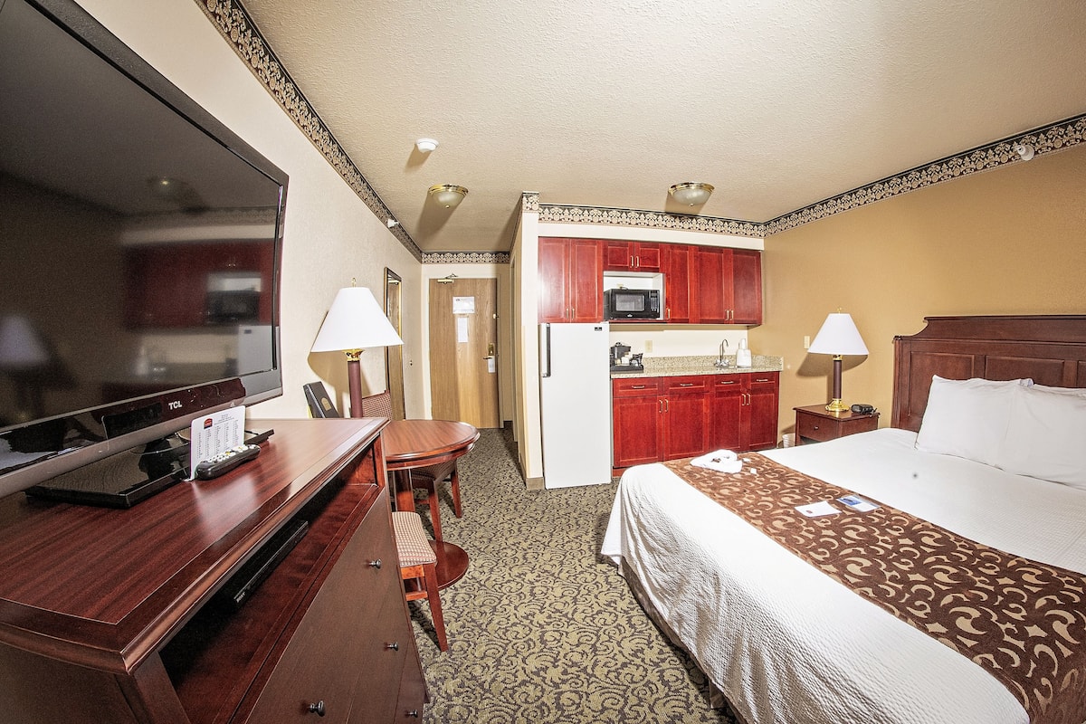 Quarto de hotel com cama, escrivaninha, televisão, micro-ondas e frigorífico.