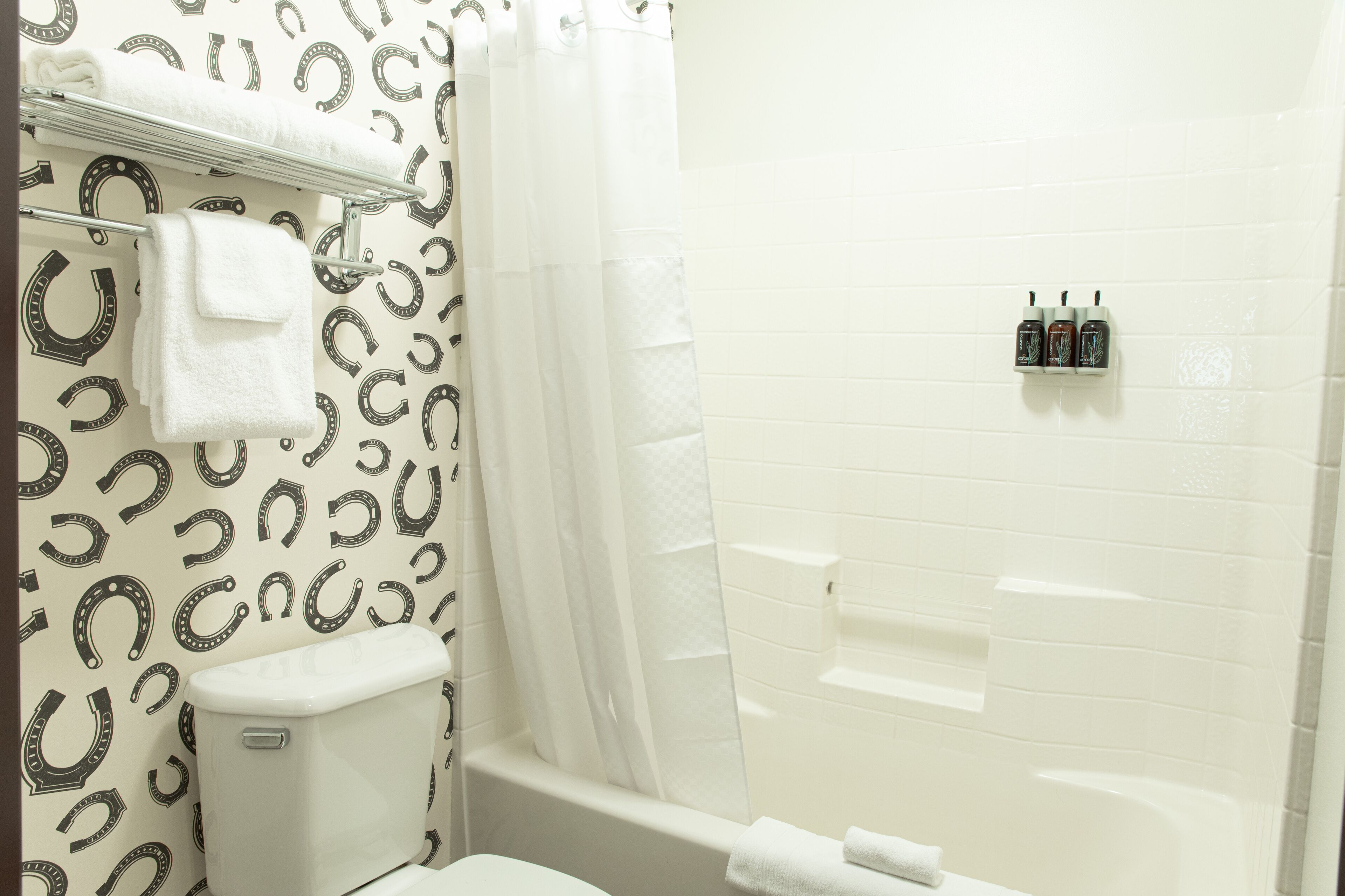 combined shower/bathtub, free toiletries, hair dryer, towels