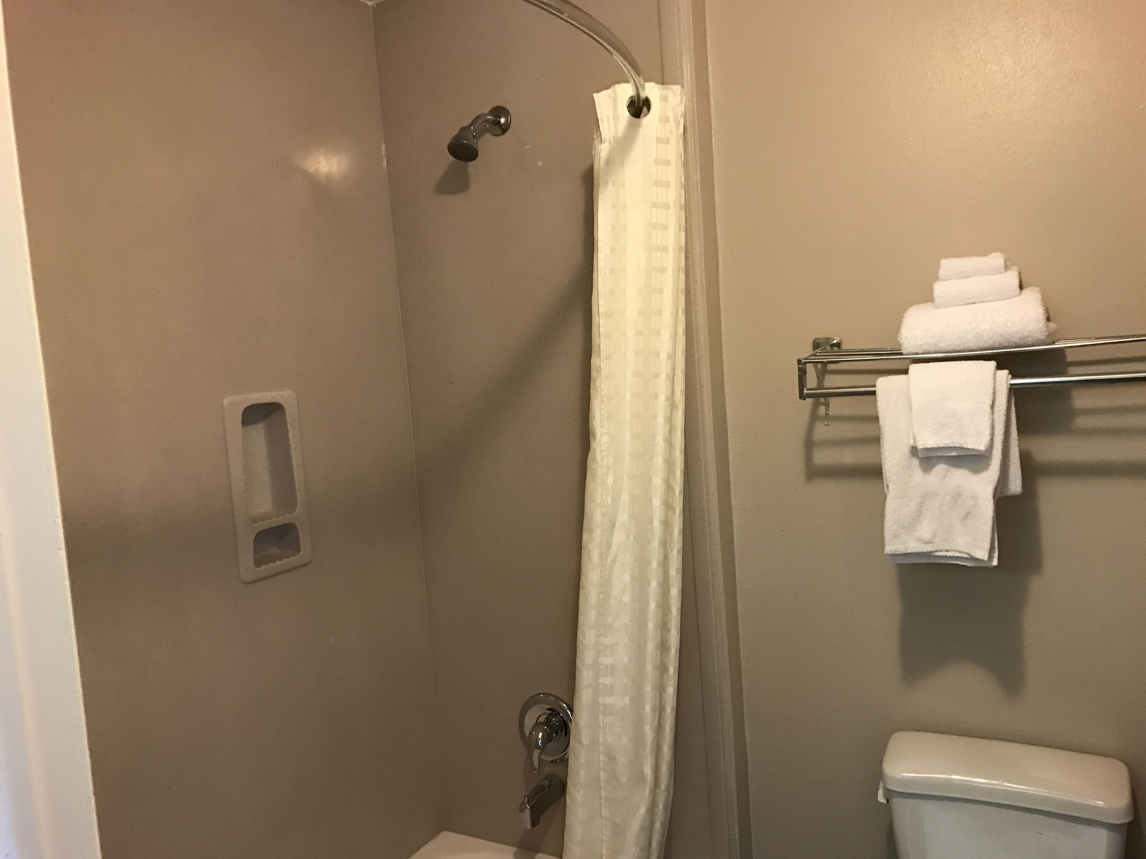 Ducha con puerta de vidrio, toallero con toallas dobladas y un inodoro.