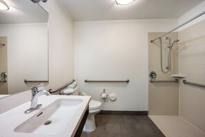 Une salle de bain moderne équipée d’un lavabo, de toilettes et d’une zone de douche. Elle comprend également des barres d’appui et un miroir.