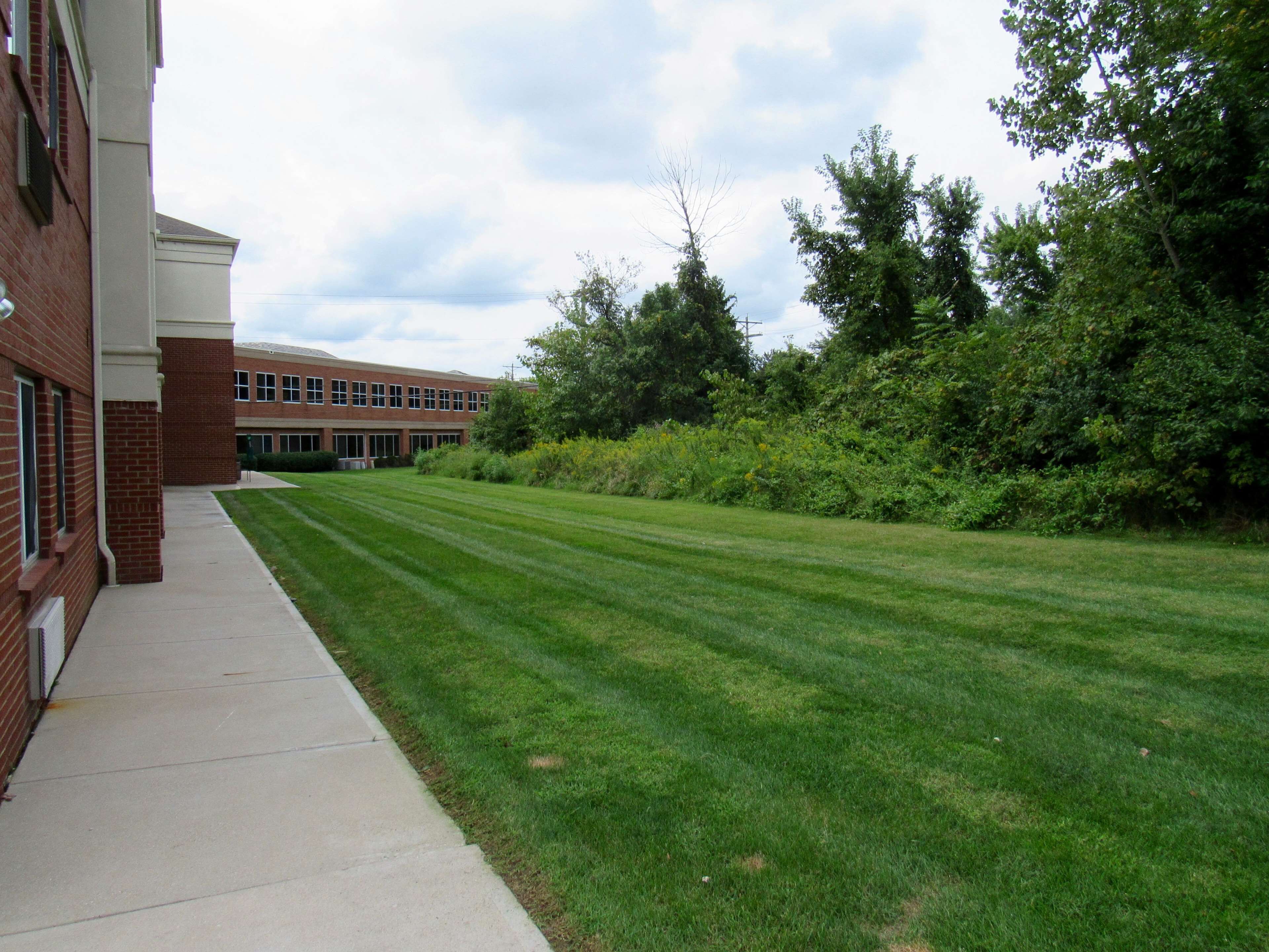 pet-friendly amenities