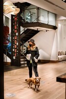 Una persona con un cane in un ambiente interno moderno, con una scala e un cartello con la scritta 'HIGH HORSE'.