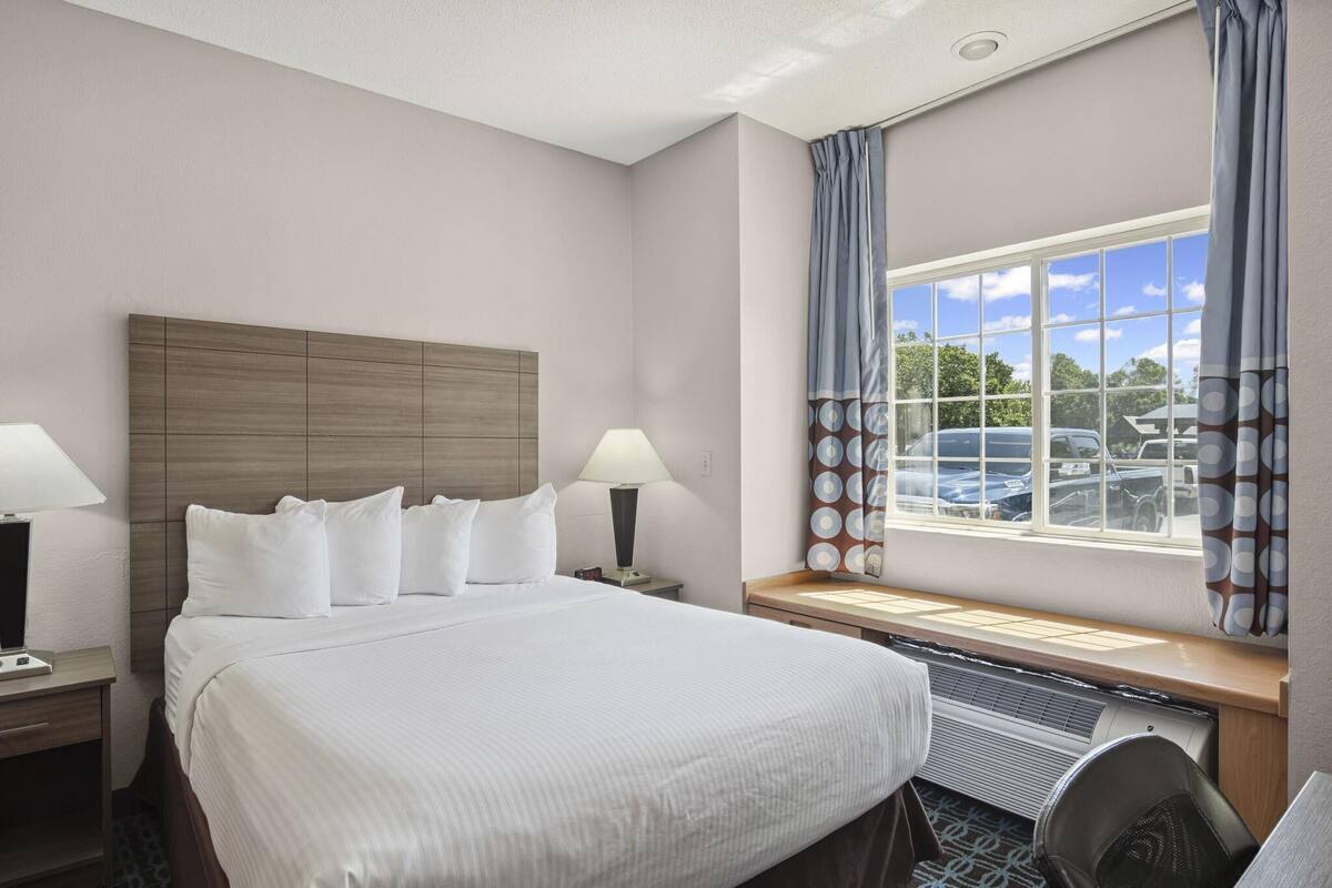 A hotel room with a large bed, two bedside lamps, a window with curtains, and a view of parked cars outside.