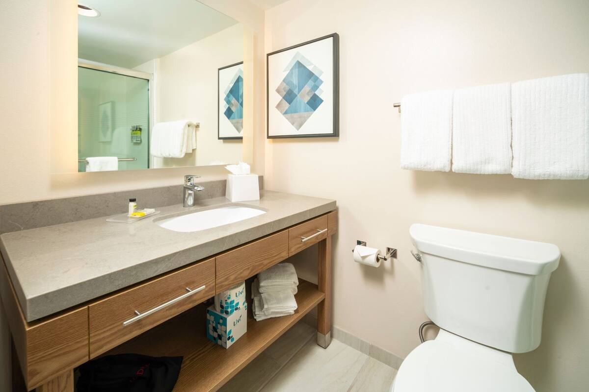 Une salle de bain moderne avec un meuble-lavabo à deux vasques, des toilettes et un porte-serviettes.