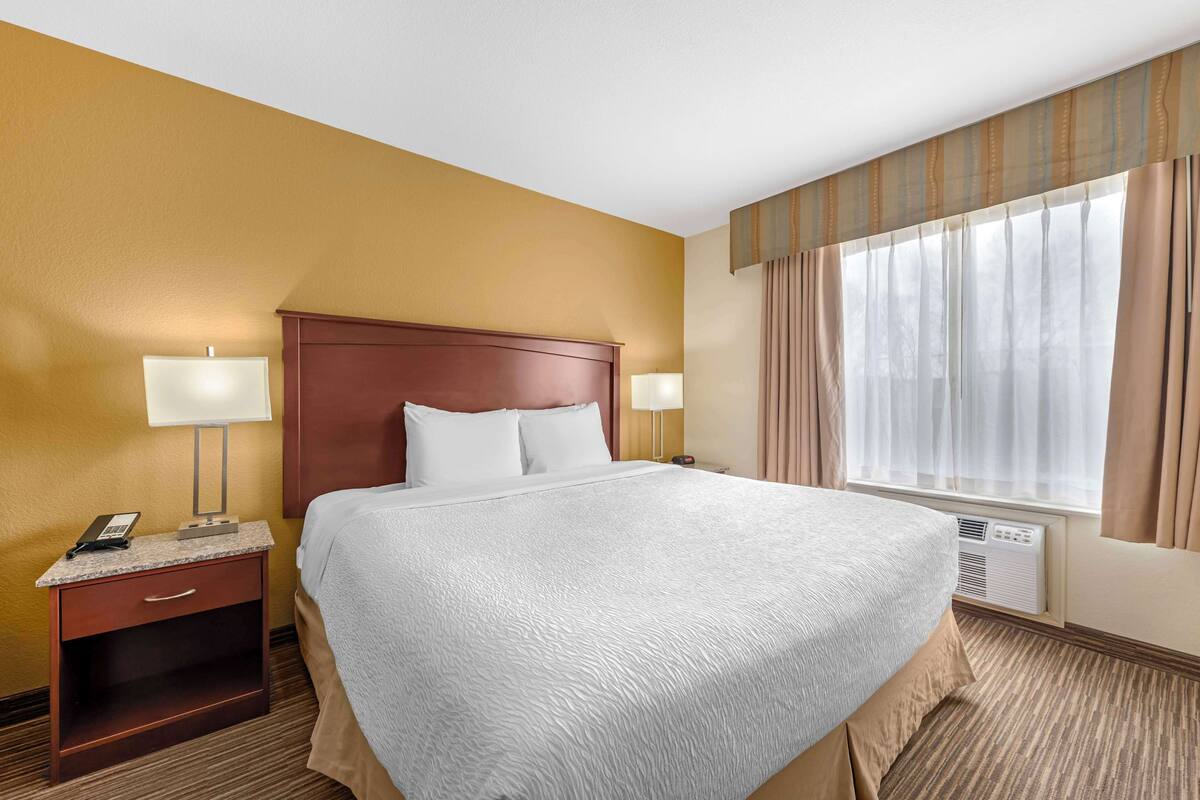Ropa de cama de alta calidad, escritorio y cortinas blackout