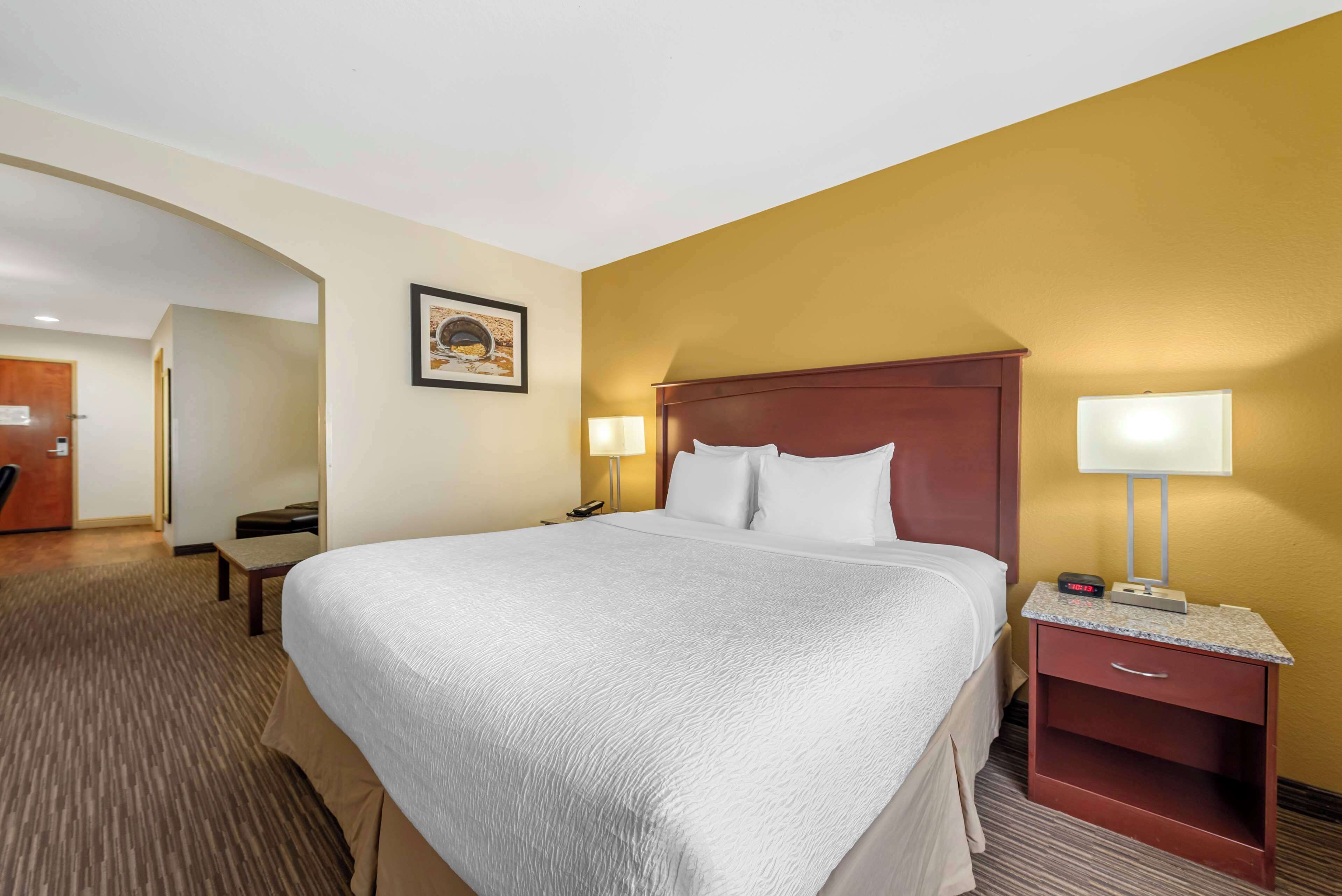 A hotel room with a large bed, two bedside tables with lamps, a wooden headboard, a framed picture on the wall, and a carpeted floor.