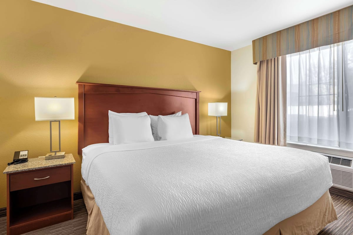 Ropa de cama de alta calidad, escritorio y cortinas blackout