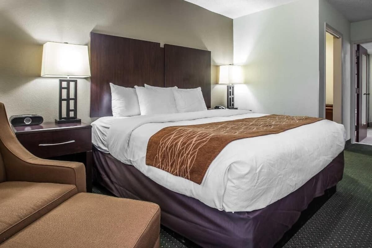 防敏寢具、羽絨被、遮光窗簾/窗簾、隔音