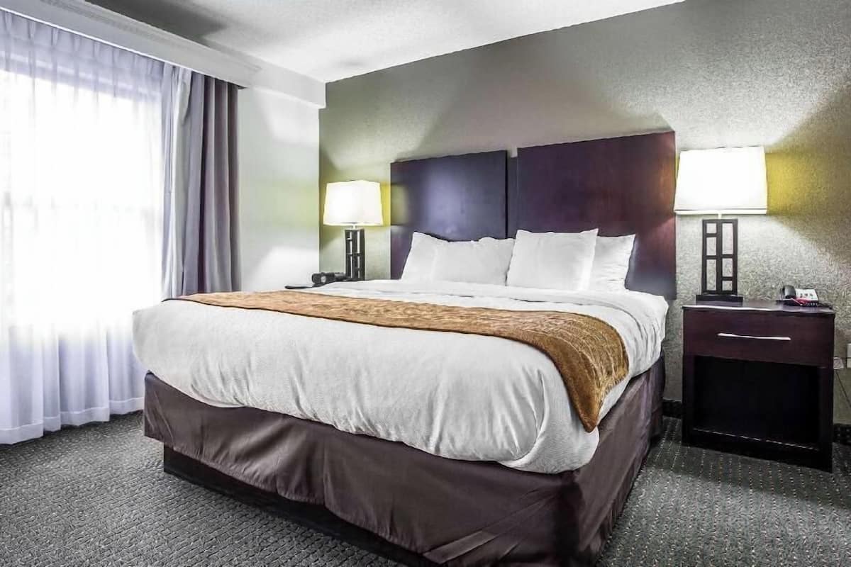 防敏寢具、羽絨被、遮光窗簾/窗簾、隔音