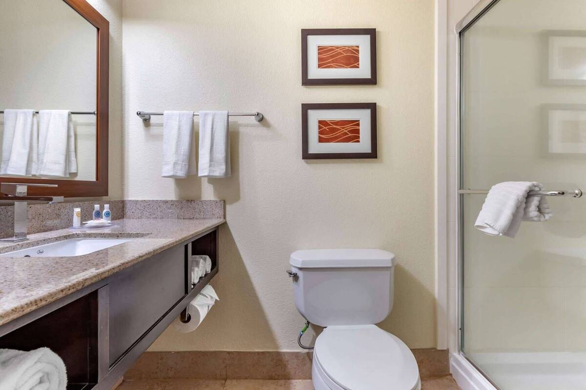 A bathroom with a sink, mirror, toilet, and shower.
