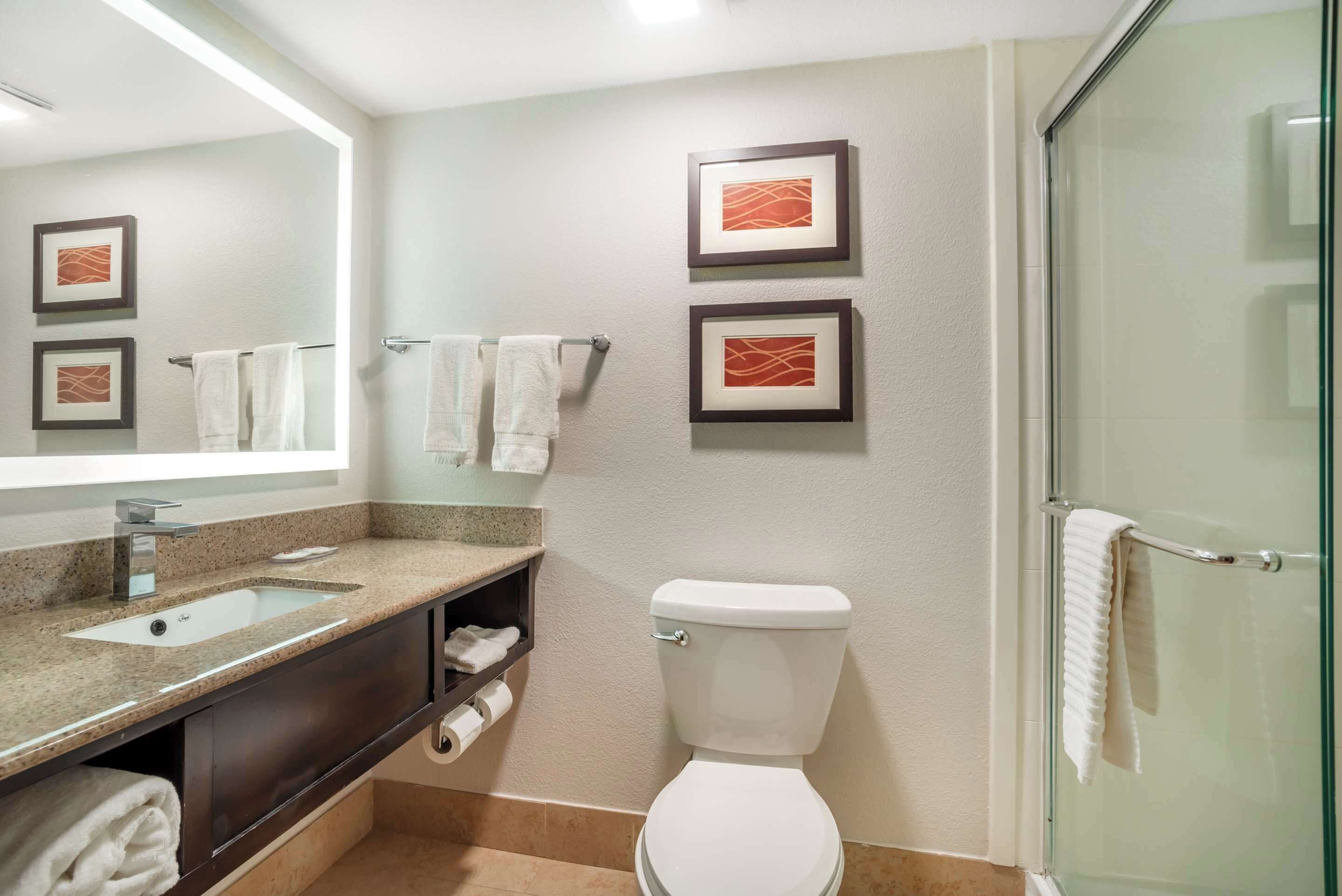 business suite, 1 king bed with sofa bed, non smoking | hypo-allergenic bedding, down duvets, blackout curtains, soundproofing