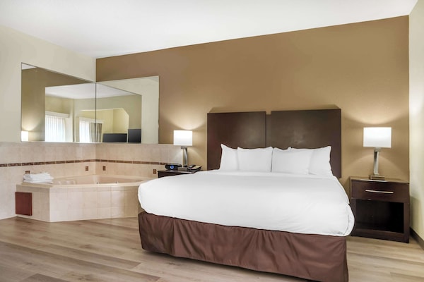 Roupas de cama antialérgicas, edredons de pluma, cortinas blackout
