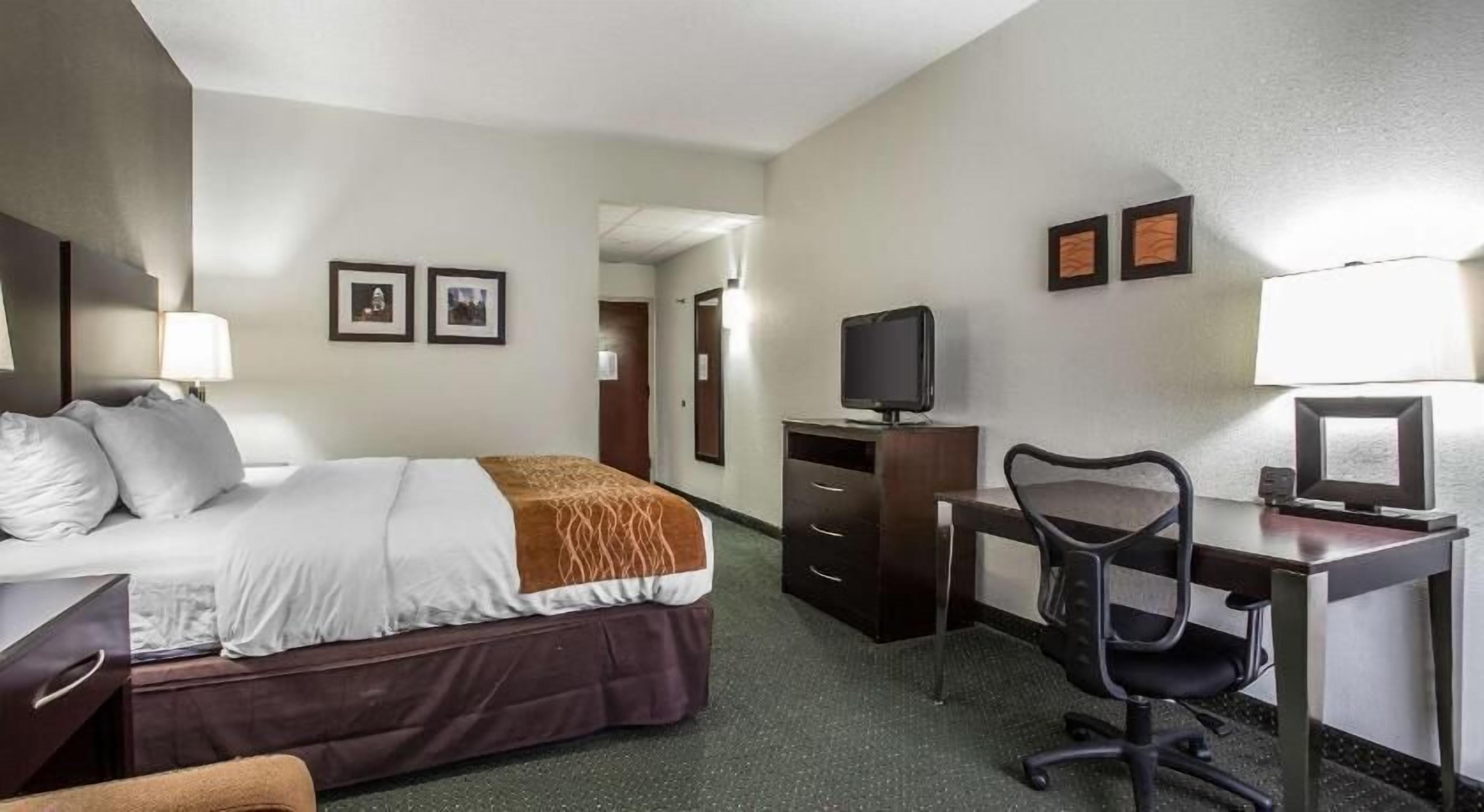 防敏寢具、羽絨被、遮光窗簾/窗簾、隔音