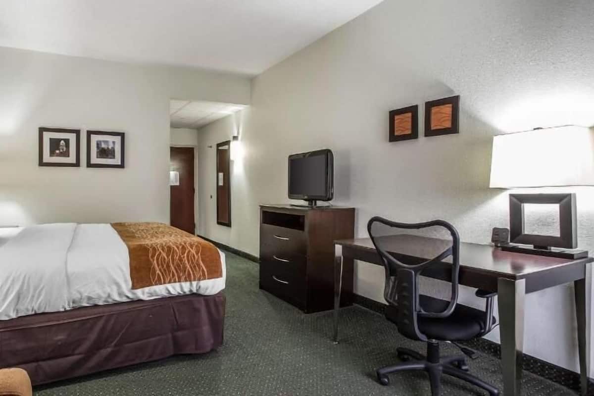 防敏寢具、羽絨被、遮光窗簾/窗簾、隔音