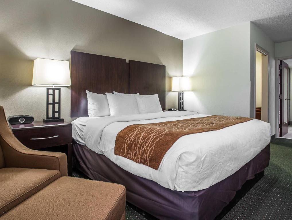 防敏寢具、羽絨被、遮光窗簾/窗簾、隔音