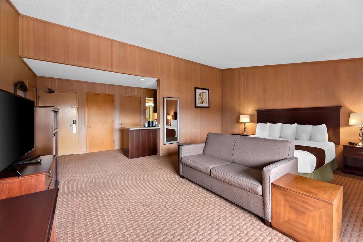 standard room, 1 king bed, non smoking, kitchenette (larger room;with sofabed) | desk, iron/ironing board, free cots/infant beds, rollaway beds