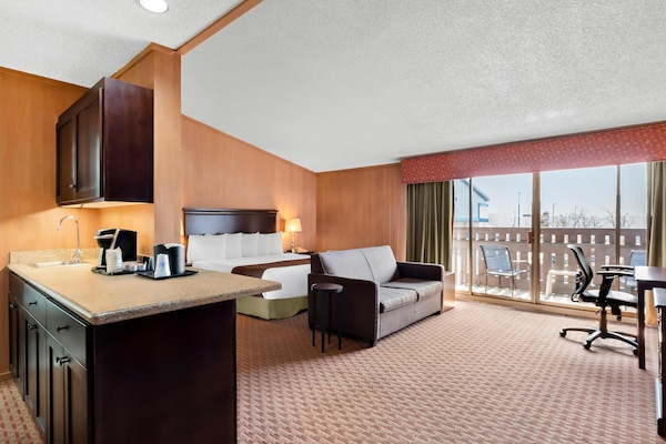 Standard Room, 1 King Bed, Non Smoking, Kitchenette (Larger Room;with Sofabed) | Desk, iron/ironing board, free cribs/infant beds, rollaway beds