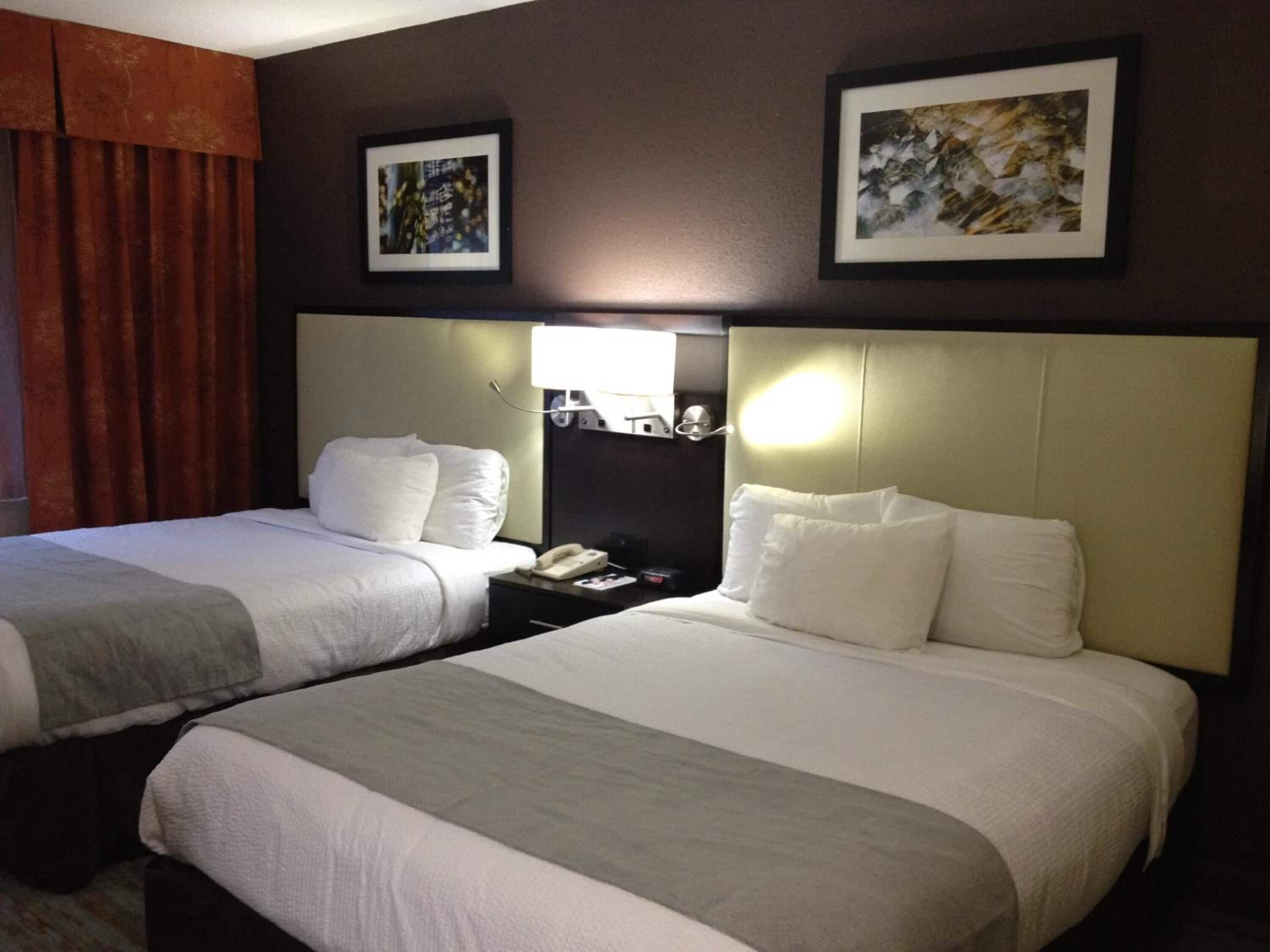 premium bedding, down duvets, pillow-top beds, blackout curtains