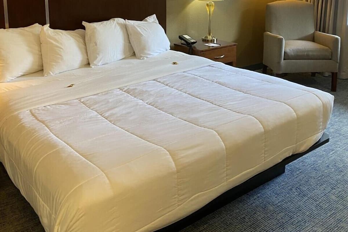 Premier Room, 1 King Bed | Premium bedding, pillowtop beds, blackout drapes, iron/ironing board