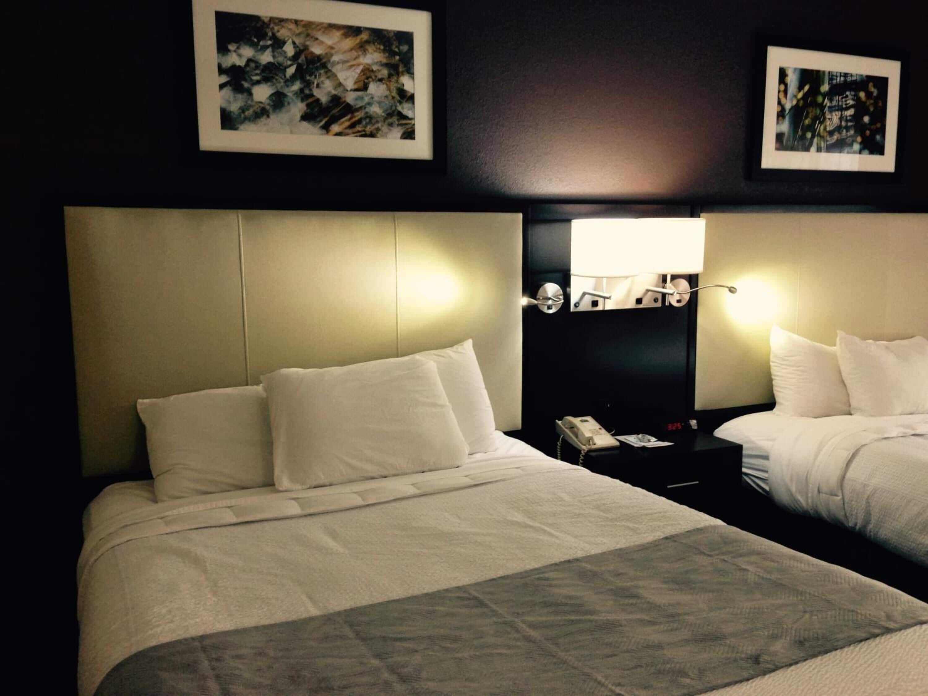 premium bedding, down duvets, pillow-top beds, blackout curtains