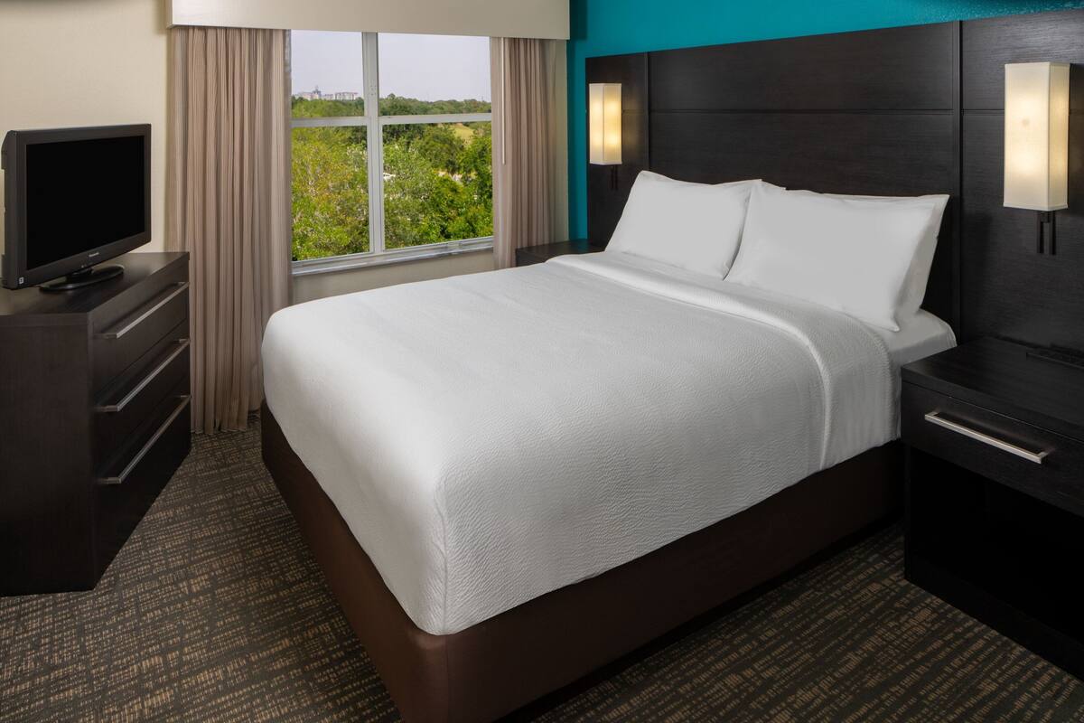 A hotel room with a large bed, a TV on a dresser, a nightstand with a lamp, and a view of greenery through the window.