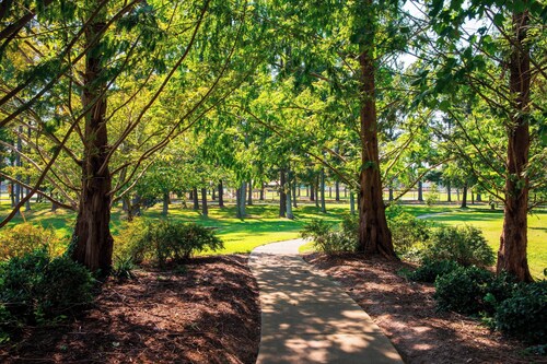 Residence Inn By Marriott Williamsburg