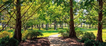 Residence Inn By Marriott Williamsburg