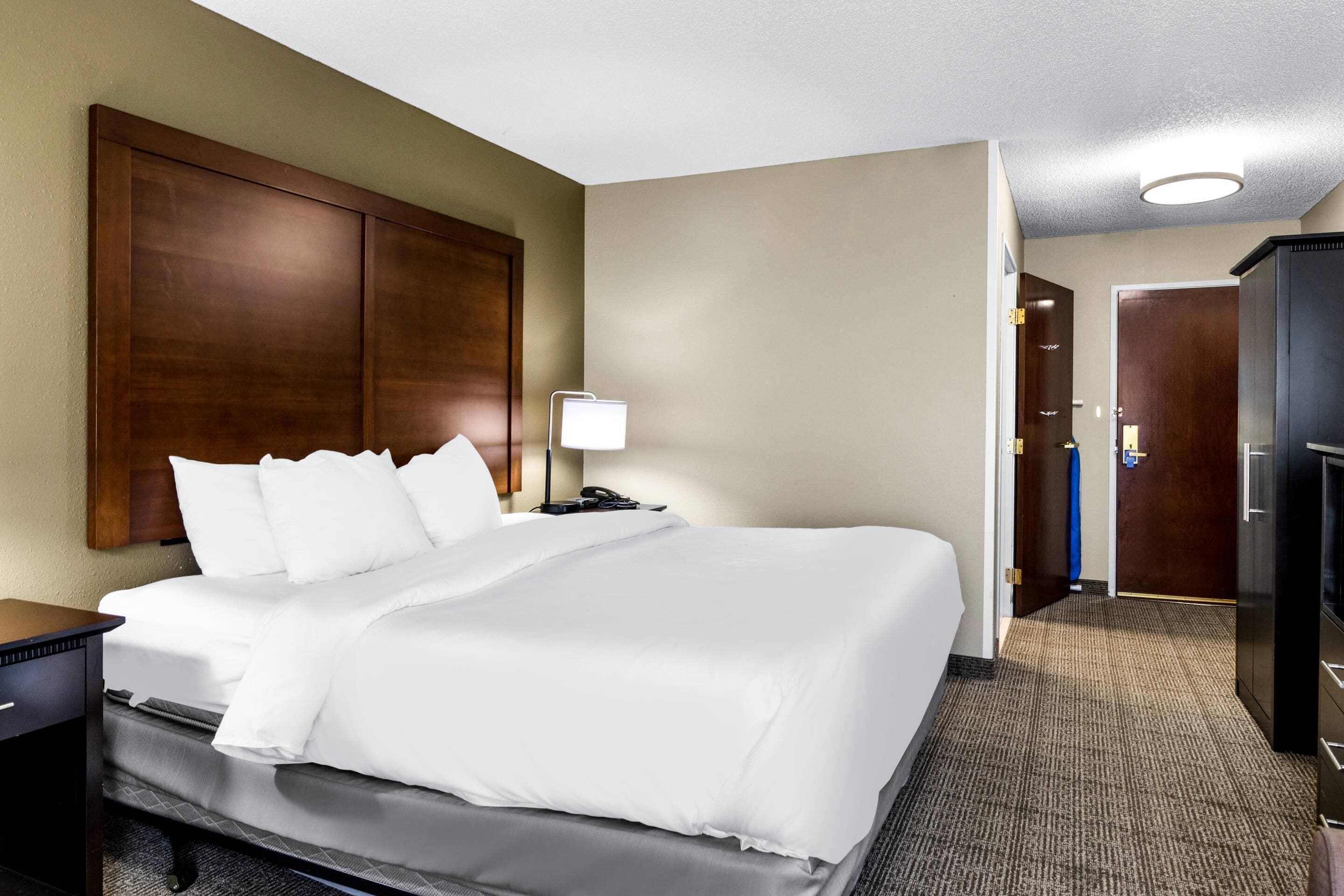 Habitación de hotel con una cama grande, una mesita de noche, una lámpara, un armario y suelo alfombrado.