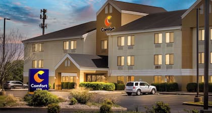 Comfort Inn East