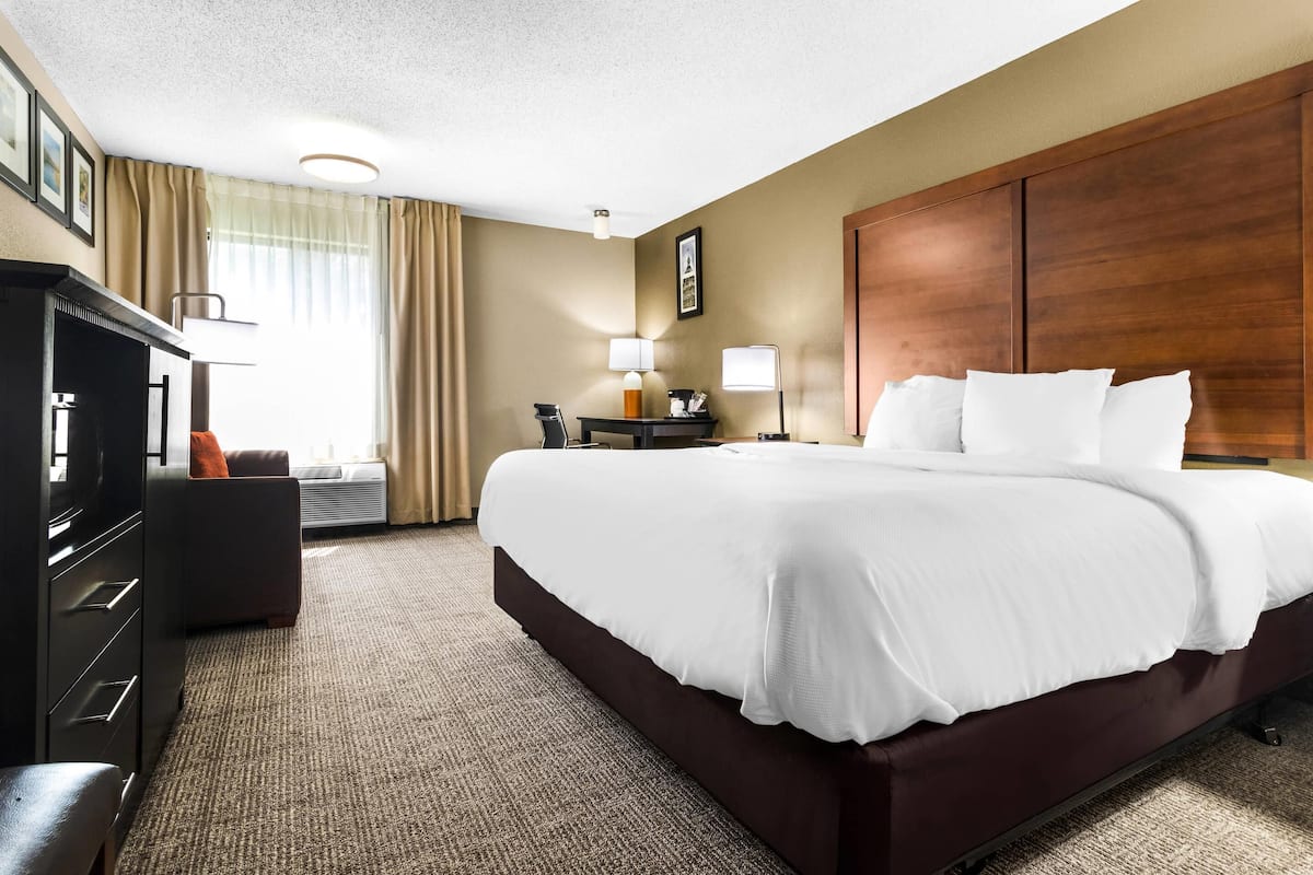 Chambre Standard, 1 trÚs grand lit et 1 canapé-lit, non-fumeur | Literie de qualité, bureau, espace de travail pour ordinateurs portables