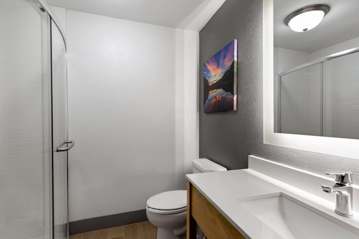 free toiletries, hair dryer, towels