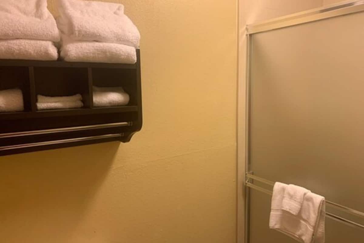 free toiletries, hair dryer, towels