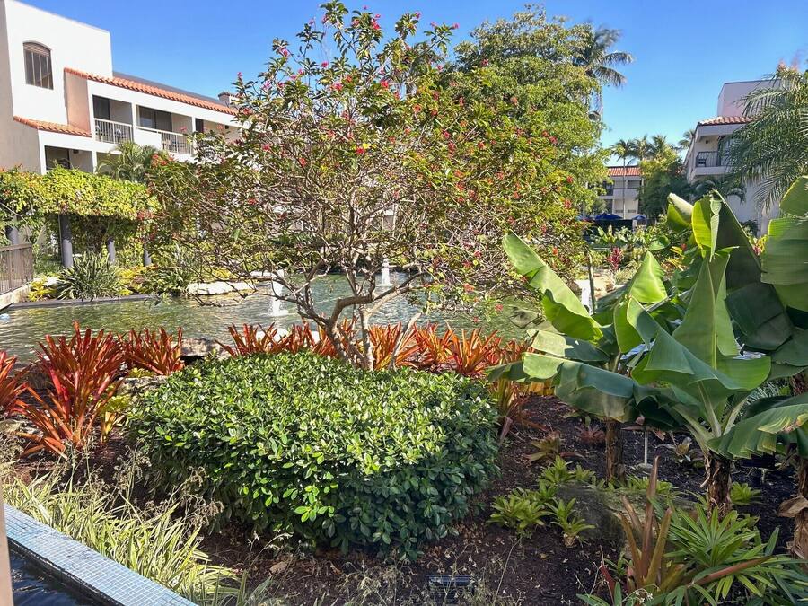 A landscaped garden with a pond, various plants, and a building with balconies in the background.