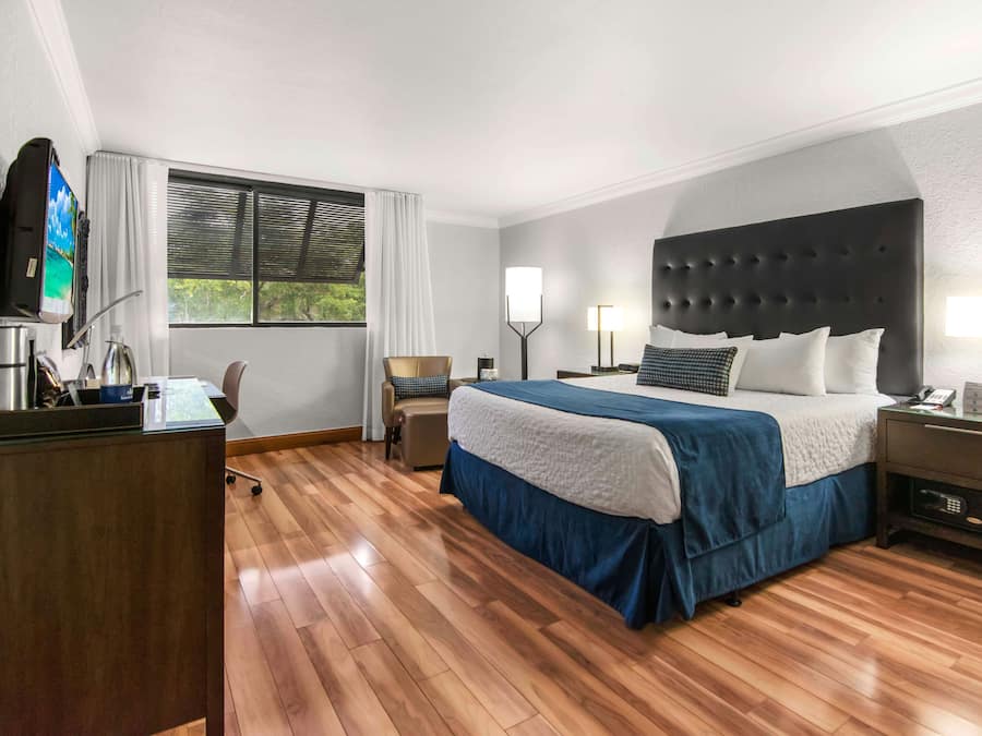 Vistas desde la habitación